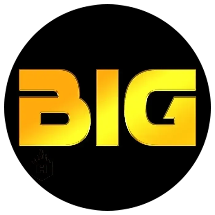 BIGHOKI - Aplikasi Lacak Langkah untuk Kesehatan Anda