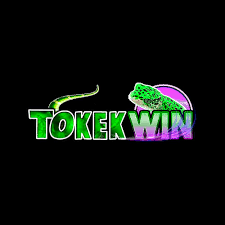 TOKEKWIN - Aplikasi Cuaca Lokal yang Akurat dan Terpercaya